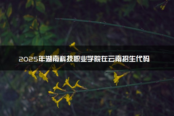 2025年湖南科技职业学院在云南招生代码：4335 专业代码及报考指南