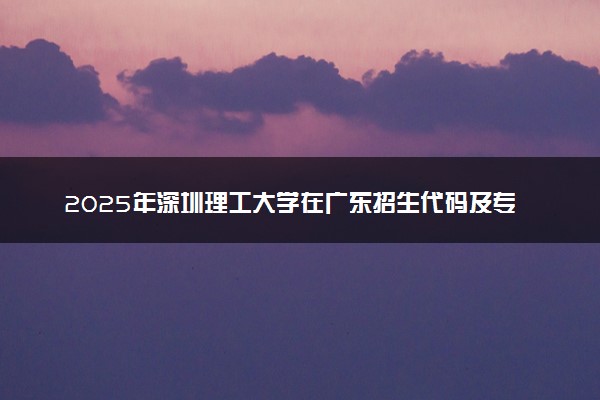 2025年深圳理工大学在广东招生代码及专业代码 深圳理工大学广东代码是多少？怎么查询？