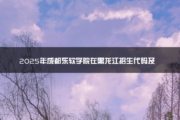 2025年成都东软学院在黑龙江招生代码及专业代码 成都东软学院黑龙江代码是多少？怎么查询？