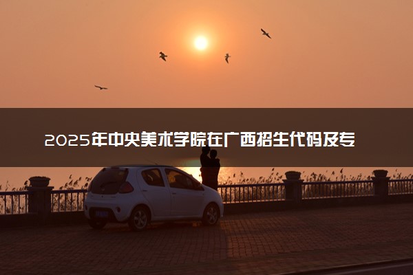 2025年中央美术学院在广西招生代码及专业代码 中央美术学院广西代码是多少？怎么查询？