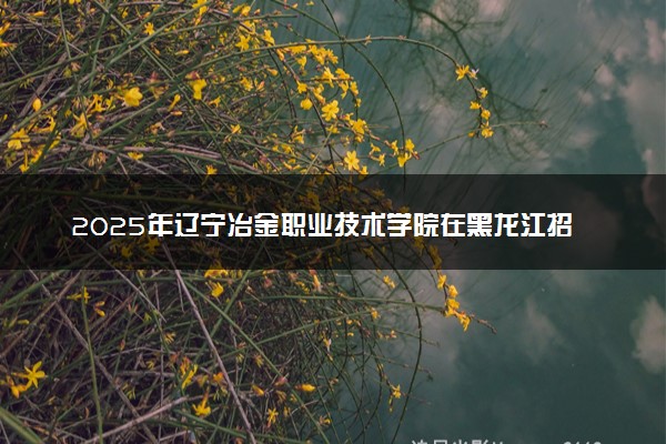 2025年辽宁冶金职业技术学院在黑龙江招生代码：4301 专业代码及报考指南