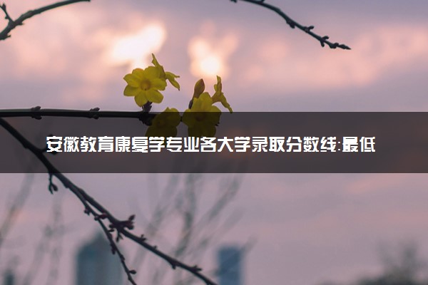 安徽教育康复学专业各大学录取分数线：最低489分能上 开设院校及位次