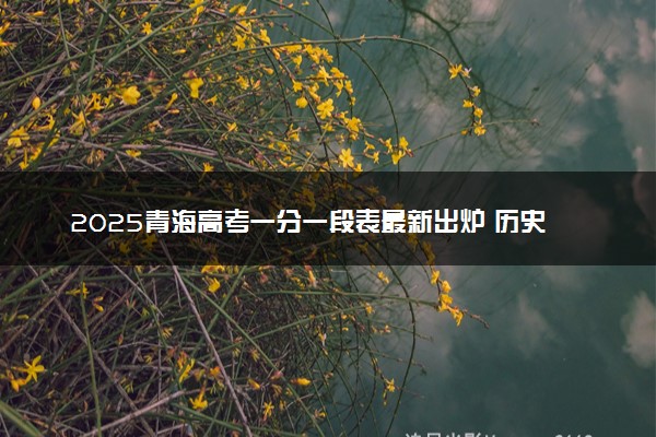 2025青海高考一分一段表最新出炉 历史类成绩分布表
