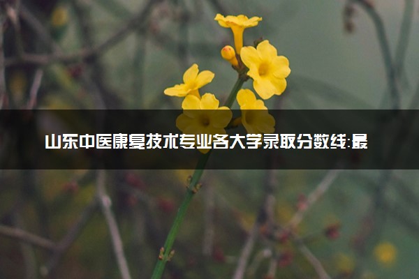 山东中医康复技术专业各大学录取分数线：最低277分能上 开设院校及位次