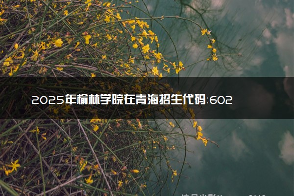 2025年榆林学院在青海招生代码：6029 专业代码及报考指南