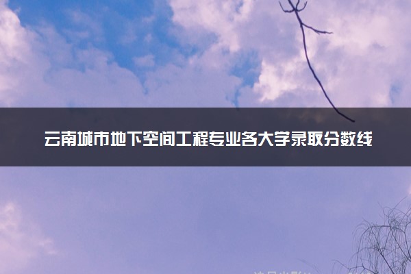 云南城市地下空间工程专业各大学录取分数线：最低429分能上 开设院校及位次
