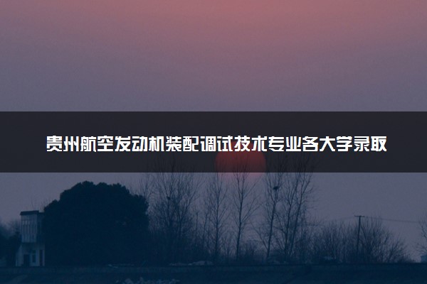 贵州航空发动机装配调试技术专业各大学录取分数线：最低377分能上 开设院校及位次