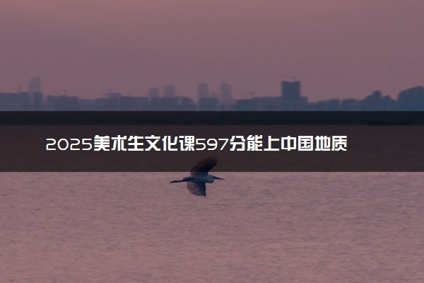 2025美术生文化课597分能上中国地质大学(武汉)吗