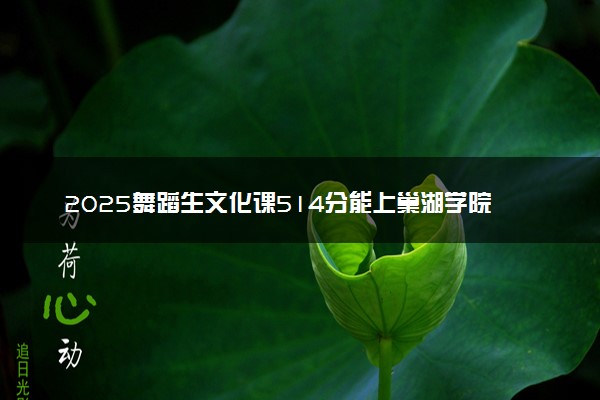 2025舞蹈生文化课514分能上巢湖学院吗