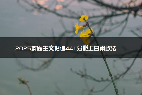 2025舞蹈生文化课441分能上甘肃政法大学吗
