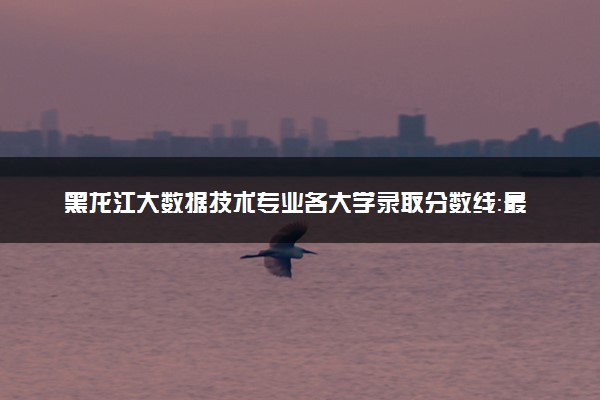 黑龙江大数据技术专业各大学录取分数线：最低171分能上 开设院校及位次