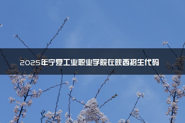 2025年宁夏工业职业学院在陕西招生代码及专业代码 宁夏工业职业学院陕西代码是多少？怎么查询？