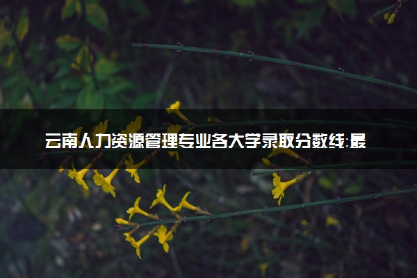 云南人力资源管理专业各大学录取分数线：最低200分能上 开设院校及位次