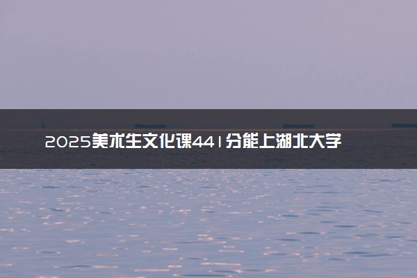 2025美术生文化课441分能上湖北大学知行学院吗