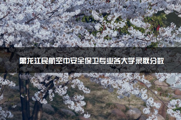 黑龙江民航空中安全保卫专业各大学录取分数线：最低166分能上 开设院校及位次