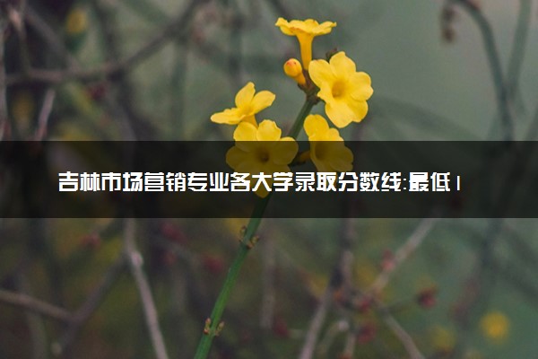 吉林市场营销专业各大学录取分数线：最低199分能上 开设院校及位次