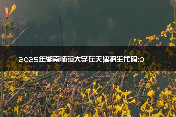 2025年湖南师范大学在天津招生代码：0567 专业代码及报考指南