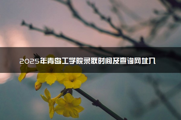 2025年青岛工学院录取时间及查询网址入口 录取结果什么时候公布