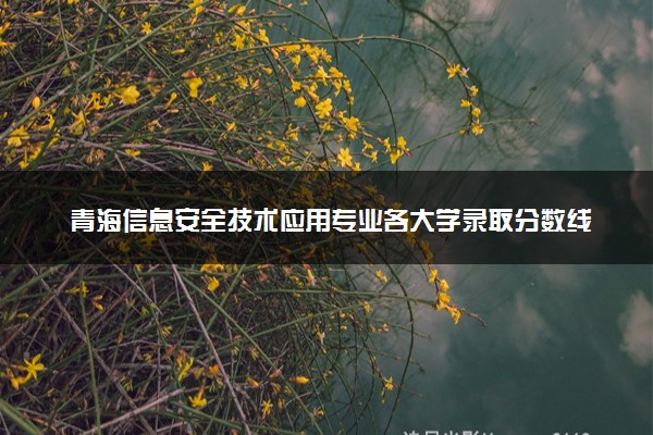 青海信息安全技术应用专业各大学录取分数线：最低230分能上 开设院校及位次