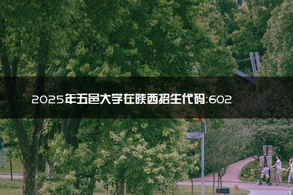 2025年五邑大学在陕西招生代码：6028 专业代码及报考指南