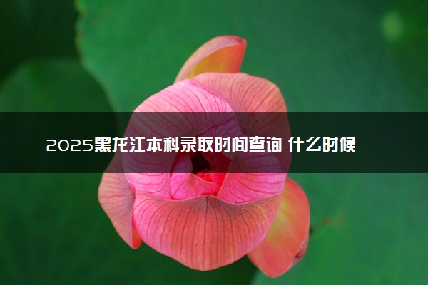 2025黑龙江本科录取时间查询 什么时候开始录取