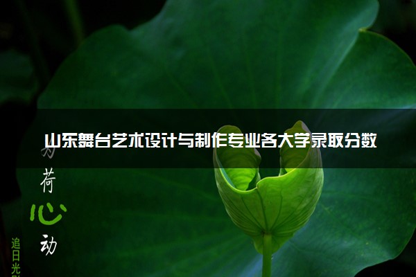 山东舞台艺术设计与制作专业各大学录取分数线：最低279分能上 开设院校及位次