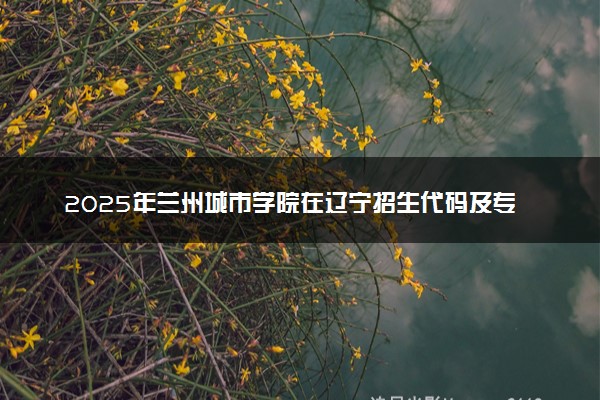 2025年兰州城市学院在辽宁招生代码及专业代码 兰州城市学院辽宁代码是多少？怎么查询？