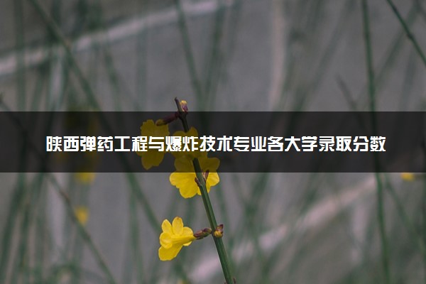陕西弹药工程与爆炸技术专业各大学录取分数线：最低483分能上 开设院校及位次