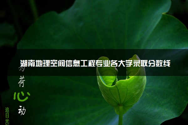 湖南地理空间信息工程专业各大学录取分数线：最低460分能上 开设院校及位次
