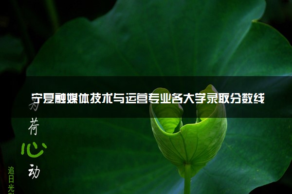 宁夏融媒体技术与运营专业各大学录取分数线：最低306分能上 开设院校及位次