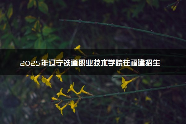 2025年辽宁铁道职业技术学院在福建招生代码及专业代码 辽宁铁道职业技术学院福建代码是多少？怎么查询？
