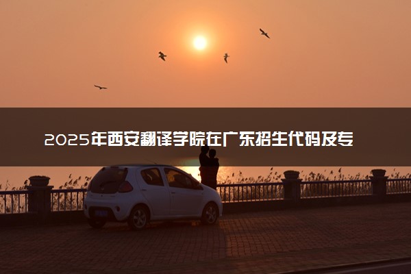 2025年西安翻译学院在广东招生代码及专业代码 西安翻译学院广东代码是多少？怎么查询？