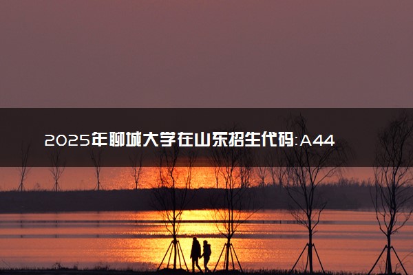 2025年聊城大学在山东招生代码：A447 专业代码及报考指南