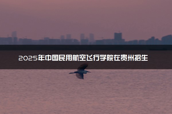 2025年中国民用航空飞行学院在贵州招生代码：2900 专业代码及报考指南