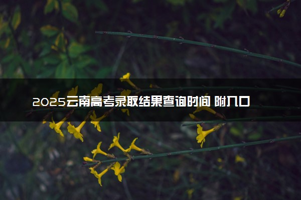 2025云南高考录取结果查询时间 附入口及录取状态查询方法