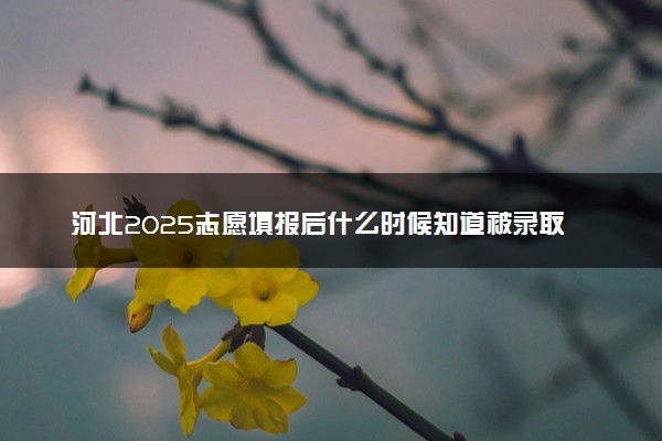 河北2025志愿填报后什么时候知道被录取 高考投档状态查询时间