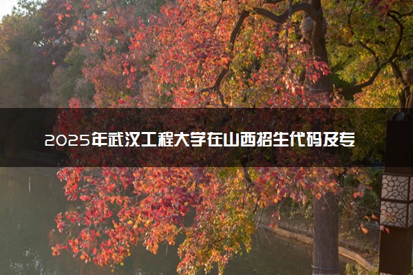 2025年武汉工程大学在山西招生代码及专业代码 武汉工程大学山西代码是多少？怎么查询？