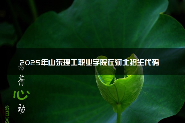 2025年山东理工职业学院在河北招生代码：1676 专业代码及报考指南