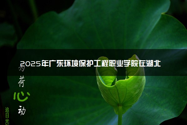 2025年广东环境保护工程职业学院在湖北招生代码：T637 专业代码及报考指南