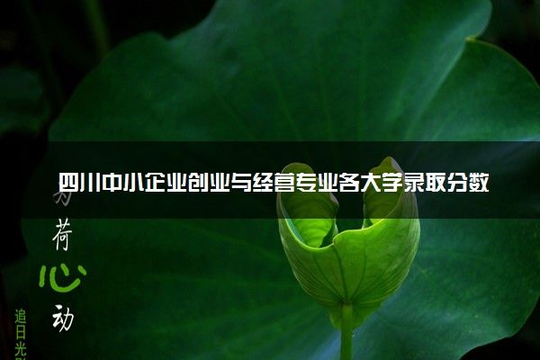 四川中小企业创业与经营专业各大学录取分数线：最低203分能上 开设院校及位次