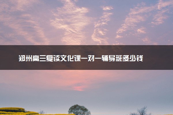 郑州高三复读文化课一对一辅导班多少钱