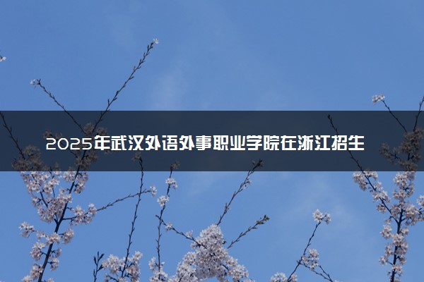2025年武汉外语外事职业学院在浙江招生代码：4081 专业代码及报考指南