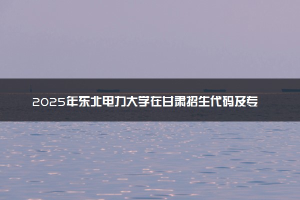2025年东北电力大学在甘肃招生代码及专业代码 东北电力大学甘肃代码是多少？怎么查询？