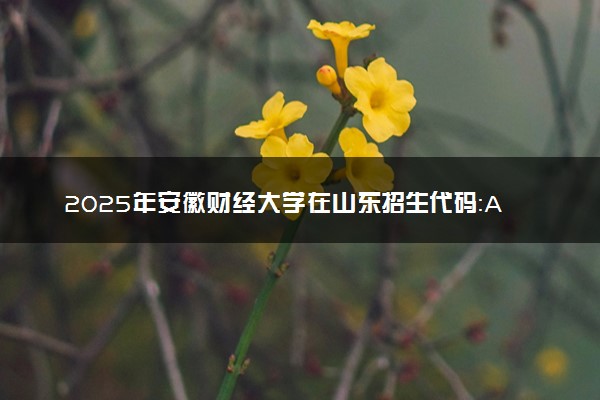 2025年安徽财经大学在山东招生代码：A378 专业代码及报考指南