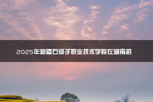2025年新疆石河子职业技术学院在湖南招生代码：6525 专业代码及报考指南