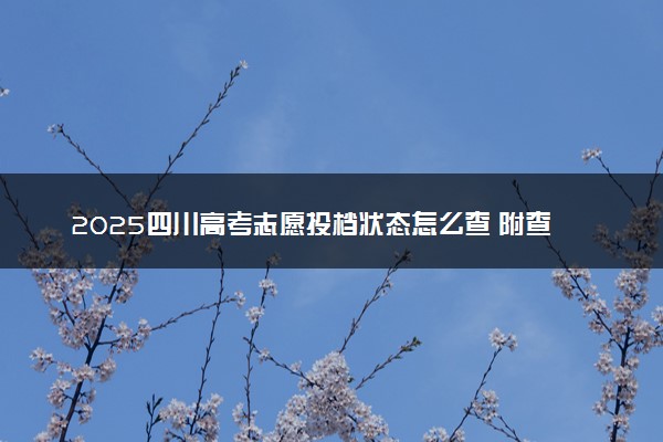 2025四川高考志愿投档状态怎么查 附查询入口及方法