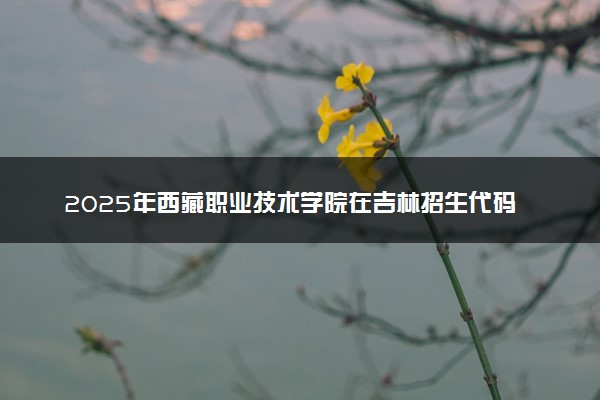 2025年西藏职业技术学院在吉林招生代码及专业代码 西藏职业技术学院吉林代码是多少？怎么查询？