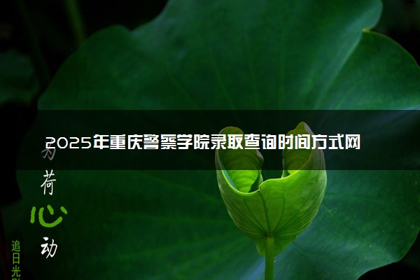 2025年重庆警察学院录取查询时间方式网址及转专业条件要求 录取结果什么时候出来