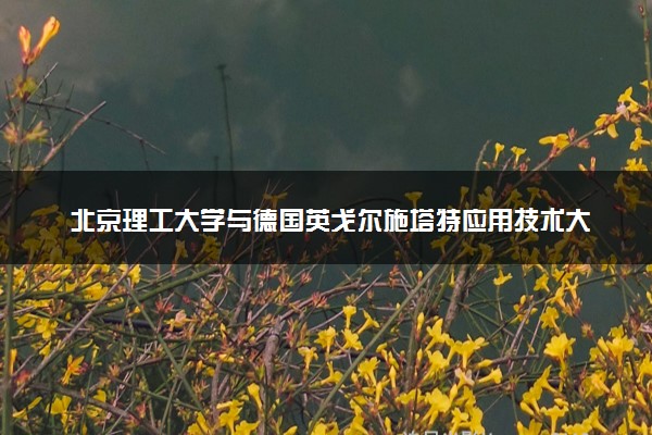 北京理工大学与德国英戈尔施塔特应用技术大学2+0硕士的认可度