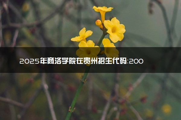 2025年商洛学院在贵州招生代码：2002 专业代码及报考指南